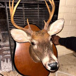 Buck wall ornament