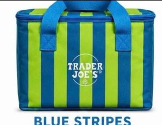Trader Joe Mini insulated cooler bag