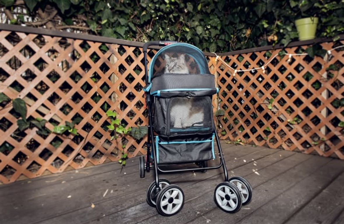 Turquoise Blue Pet Stroller For Dogs, Cats, And Bunnies