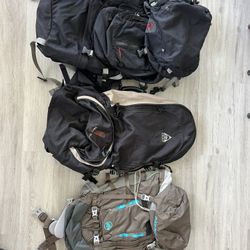 Travel Backpack $60