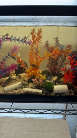 Fish tank