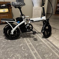 Electric Scooter