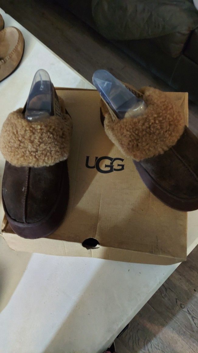 UGGs slippers