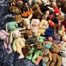 Around 200 Beanie Babies In Awesome Condition With Errors