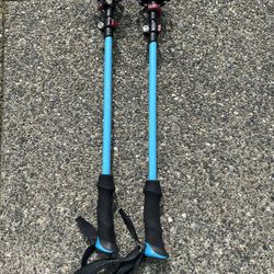 TREKKING POLES