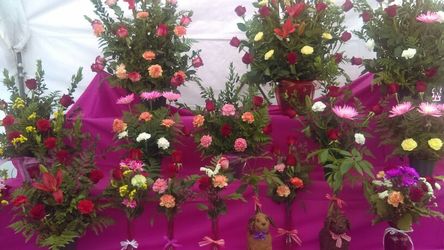 Rosas para El Dia de las Madres