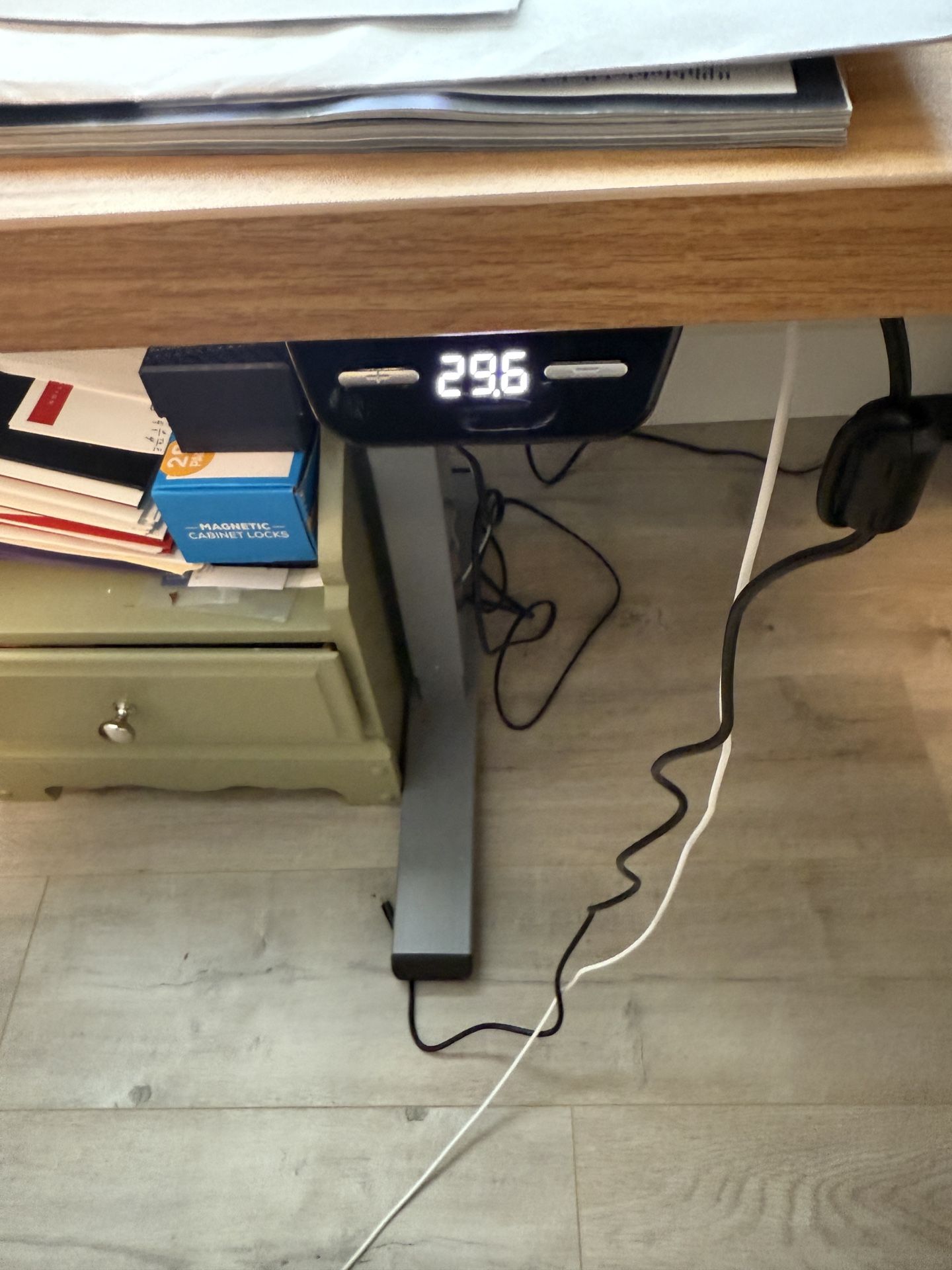 Flexispot Electric Standing Desk