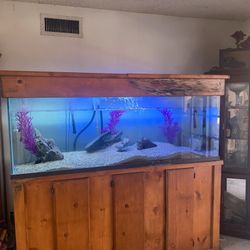 150 Gallon Glass Fish Tanks 