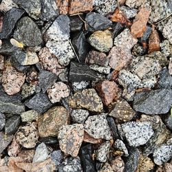 Mixed Landscape Rock
