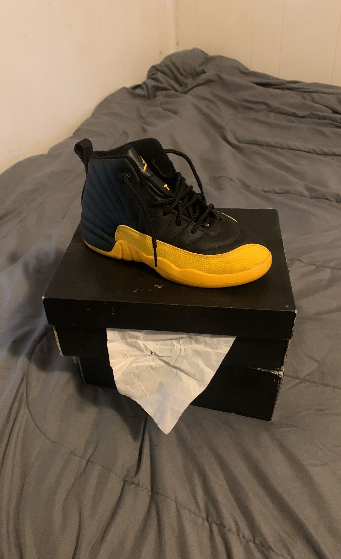Jordan 5 Retro And Jordan 12 Retro