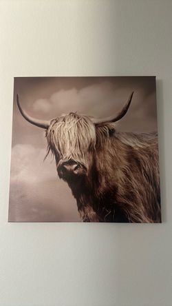 Western canvas frames