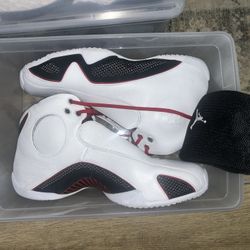 Air Jordan 21