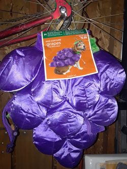 Dog costumes