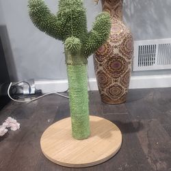 Cactus Cat Scratcher