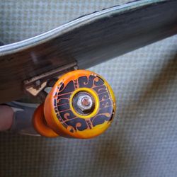 Skateboard Complete 