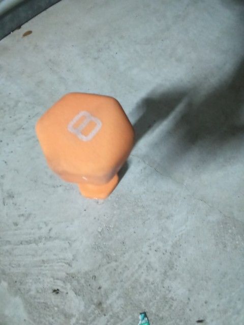 8lb Weight Dumbbell