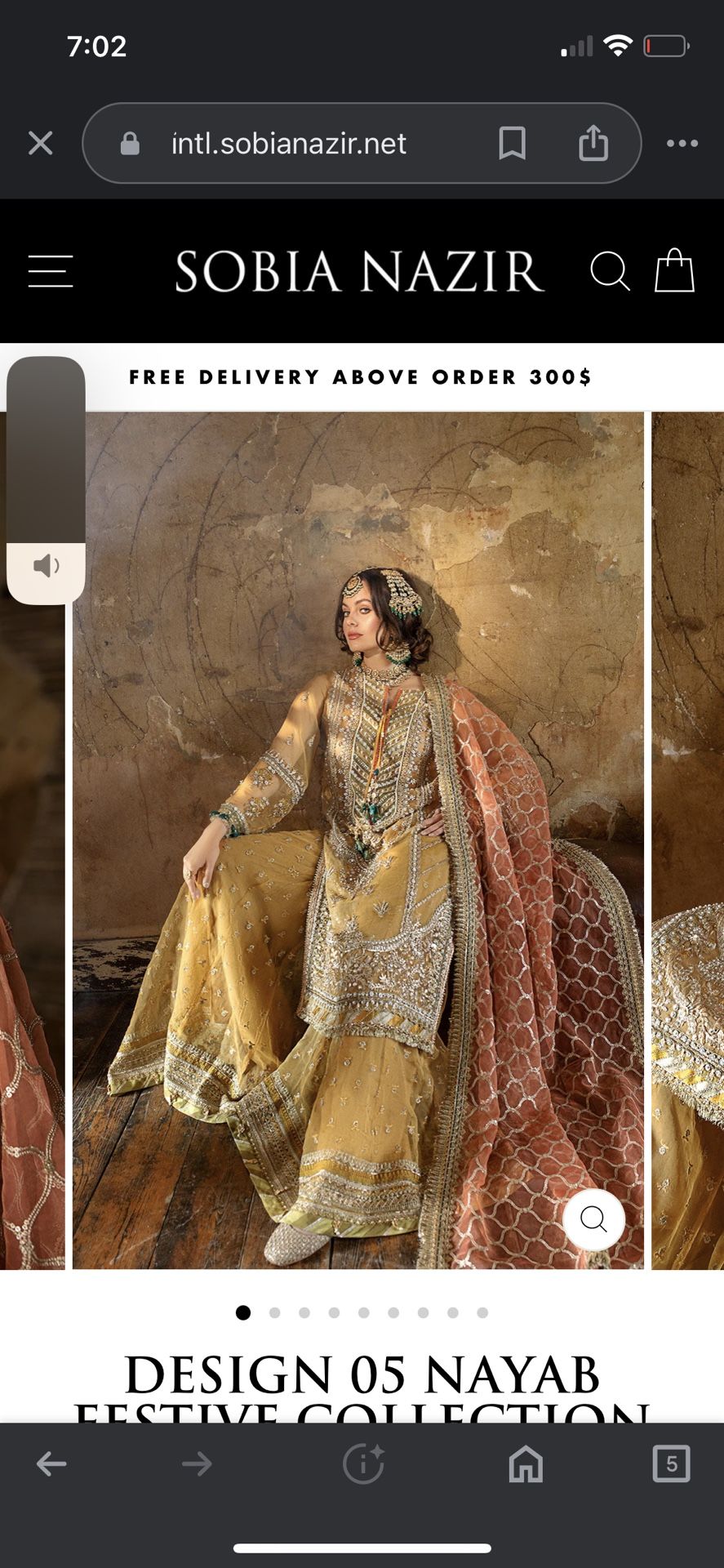 Pakistani/ Indian Dress