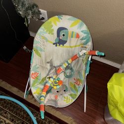 Baby Bouncer 