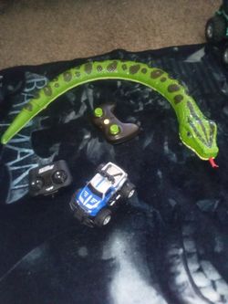 Rc Car & Snake