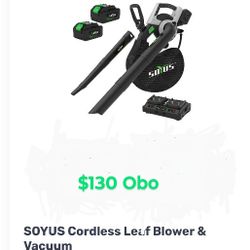 Cordless Leaf Blower And Vacuum 