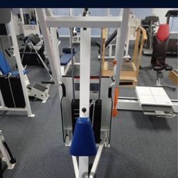Cybex Classic Lat Row Rear Delt. 
