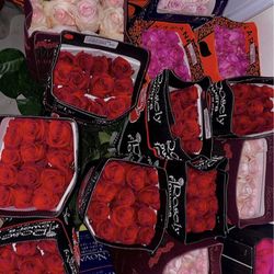 Wholesale Roses