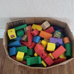 Wooden Blocks ( 253 Pcs).