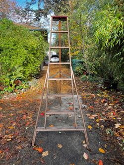8 Foot Ladder