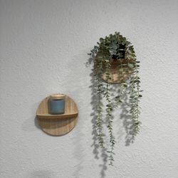 Medium Wood Stain Circle Shelves