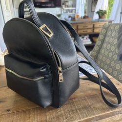 Backpack Purse