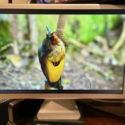 Cinema HD Display 30” A1083