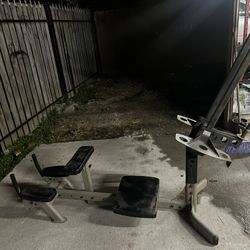 Power Line Glute Master 