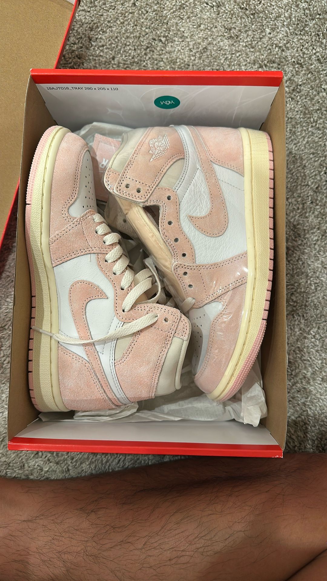 Jordan 1