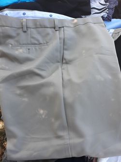 Haggard size 44x29