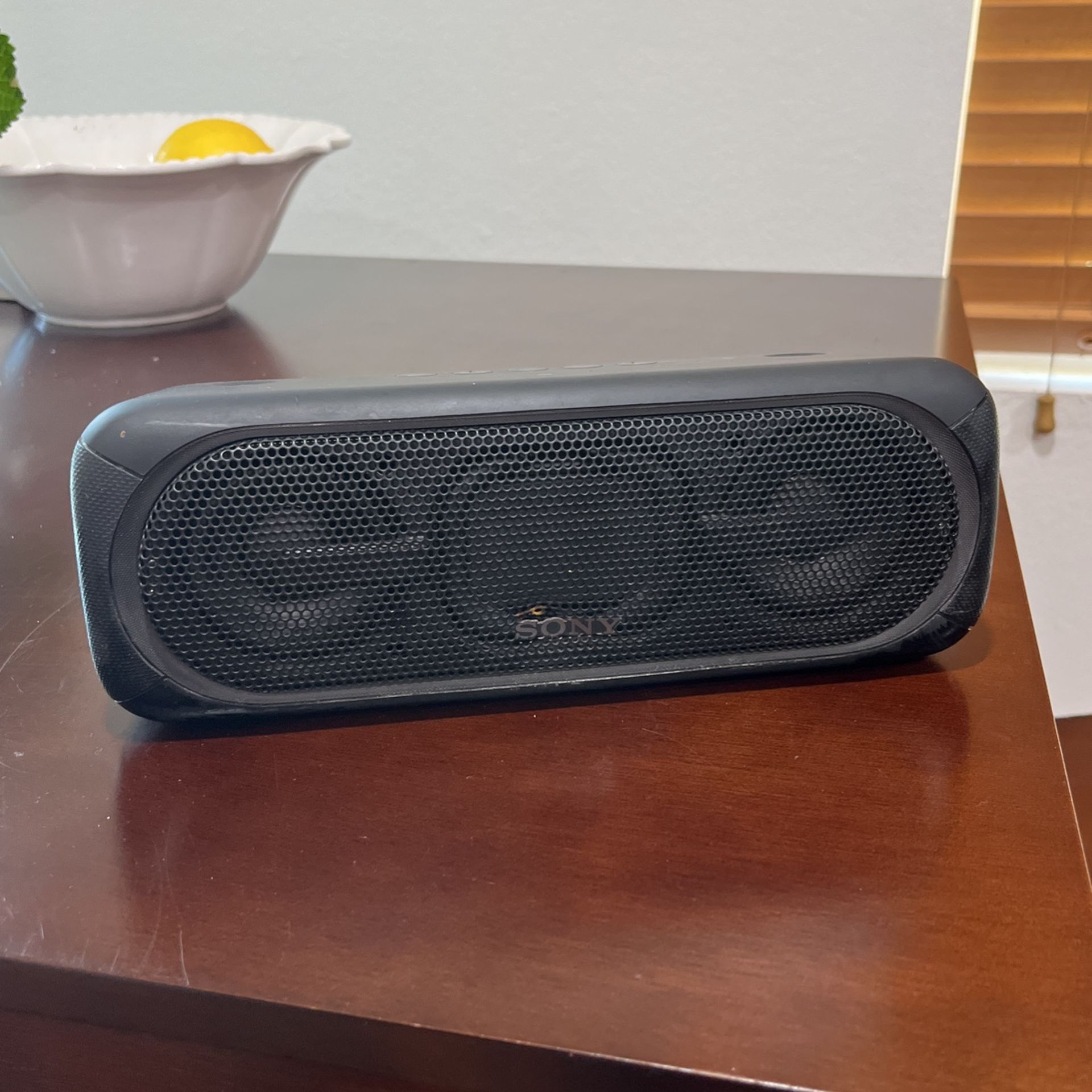 Sony SRS-XB40 Speaker