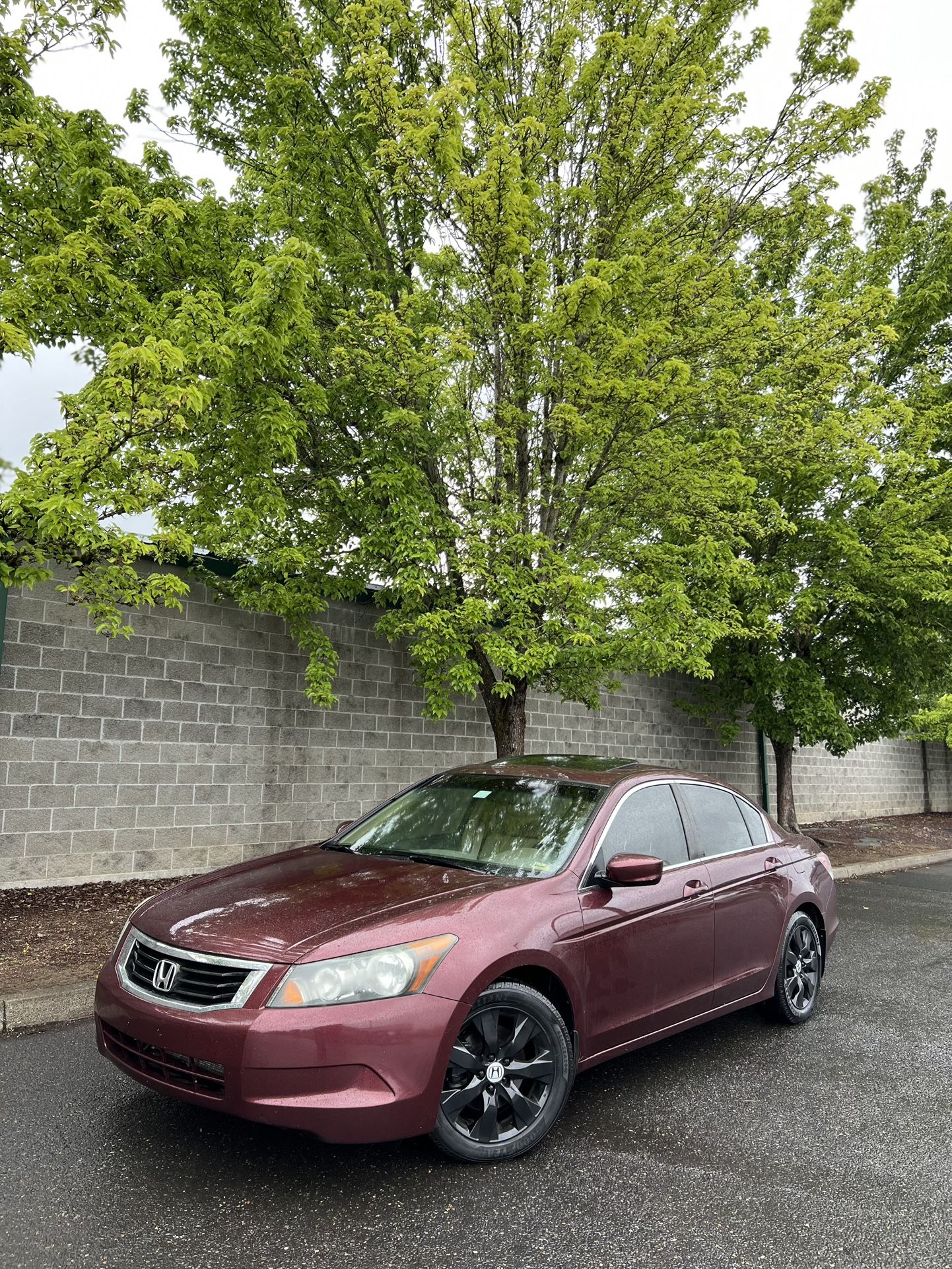2008 Honda Accord