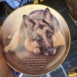 German Sheapard Collectable Plate