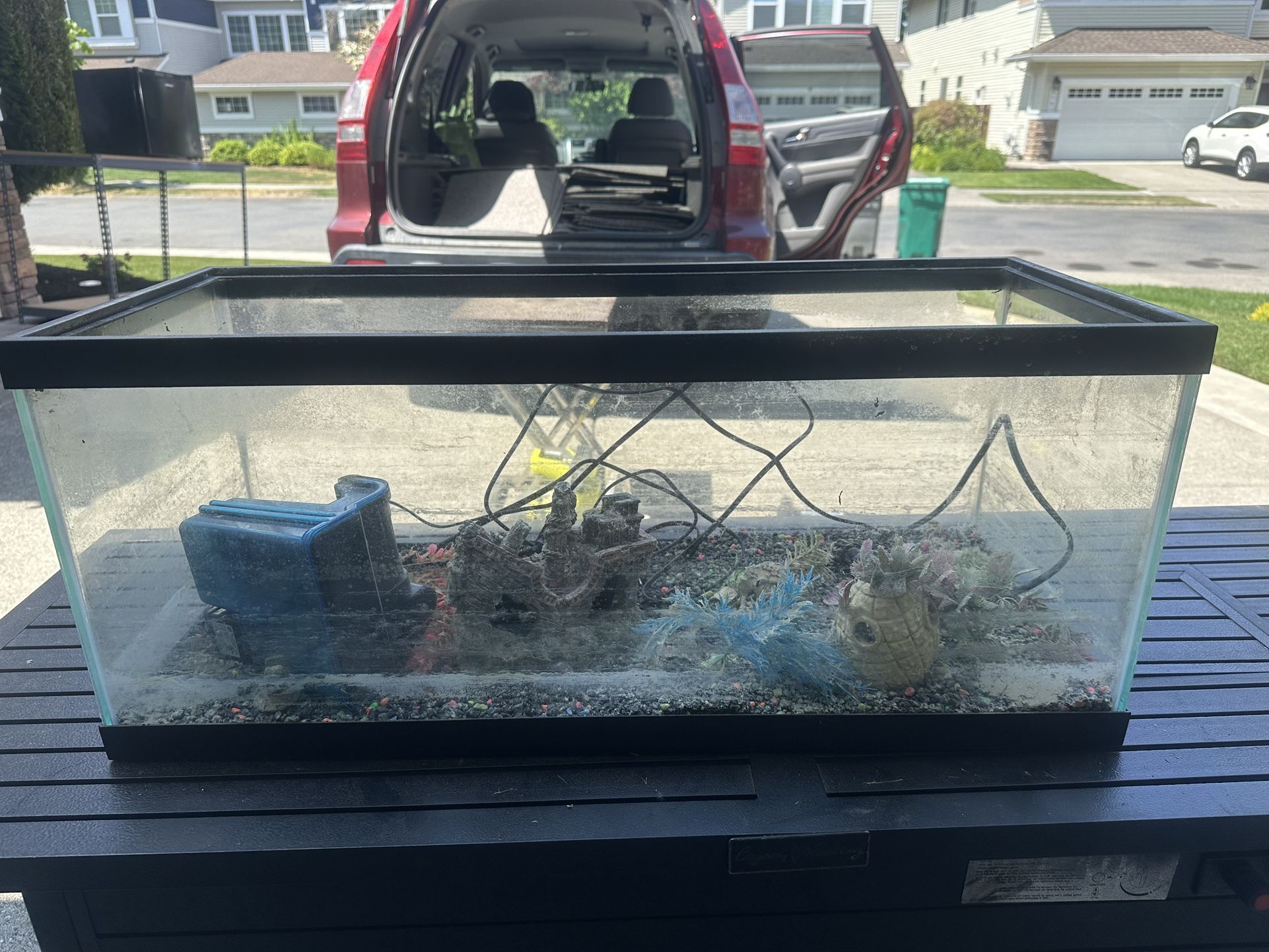 20 gallon fish tank
