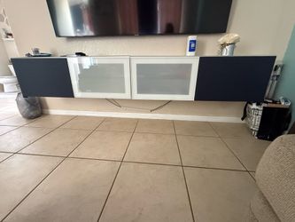 Wall mounted media cabinet