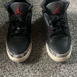 Jordan 3s 