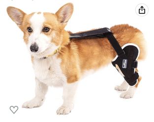 Dog Knee Brace 