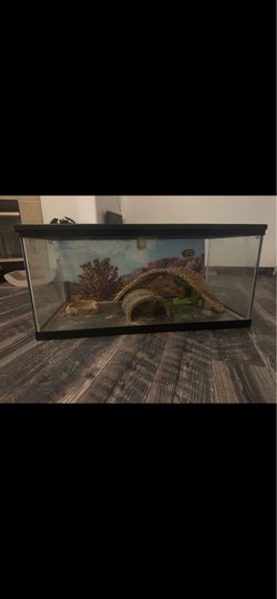 20 gallon Glass aquarium/terrarium