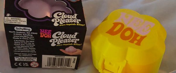 Nee Doh Cloud Pleaser and case bundle