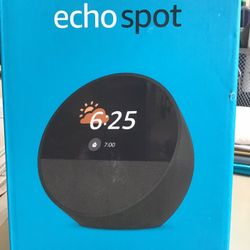 Echo Spot