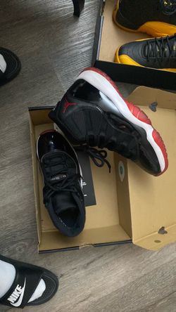 2019 Bred 11