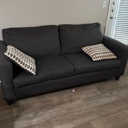 Queen Sized Pull Out Couch 