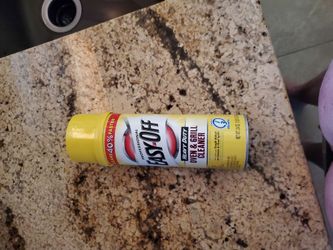 Professional Easy Off Oven & Grill Cleaner