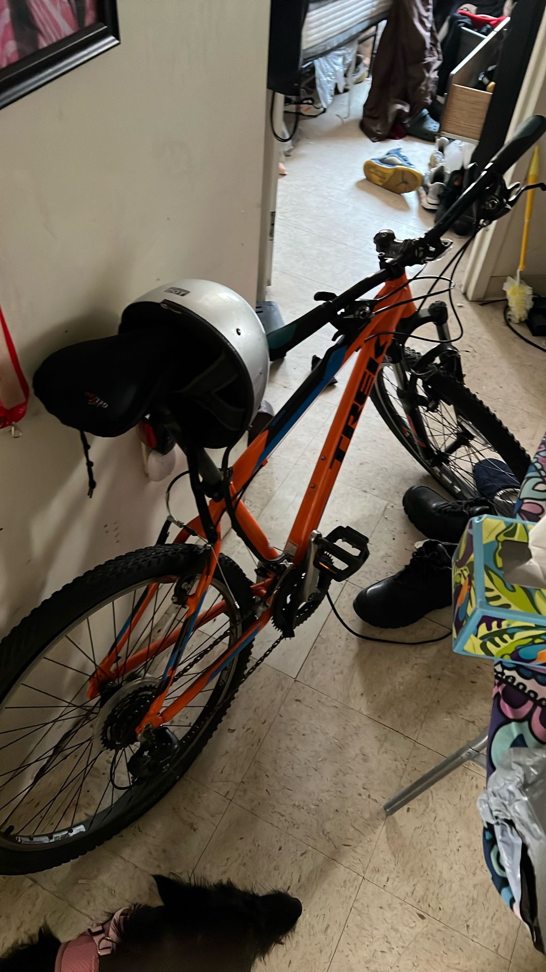 Trek Bike