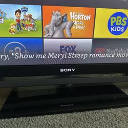 SONY BRAVIA 