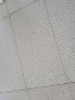 Ceiling Tiles